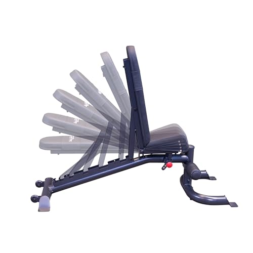 Body Solid (GFID100B) Adjustable Leverage Flat Incline Decline Bench for Weight Lifting, Heavy Duty Fitness Workout Equipment for Bench Press & Incline Exercise, Commercial and Home Gym Essentials