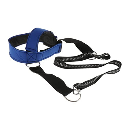 Neck Training Harness for Resistance Workouts with Carabiner and