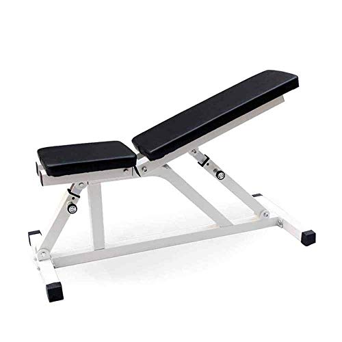 Dumbbell bench- Preacher Curl Weight Bench Seated Arm Isolated Barbell Biceps Station