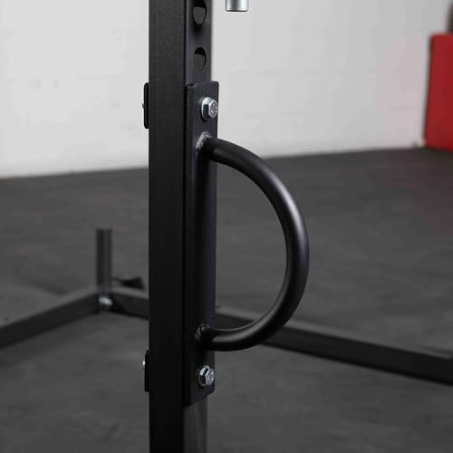 Titan Fitness T-2 Series Battle Rope Anchor, Rack-Mounted D-Ring Attachment for Battle Ropes, Straps, Suspension Training