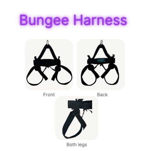BUNGEE Harness Supports 25-95 kg Weight. Include the Harness & 1 Month Free Access to Videos, Music & Workouts - size: Large