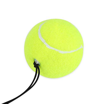 Boxing Ball, Training Punch Ball with Elastic and Headband, for Boxing Agility Speed and Reaction Training