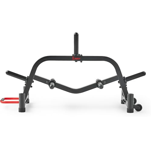 Sunny Health & Fitness Multi-Weight Storage Rack Stand for Dumbbells, Kettlebells, Olympic Weight Plates, Barbell, Medicine Ball - style: Plate & Barbell Rack