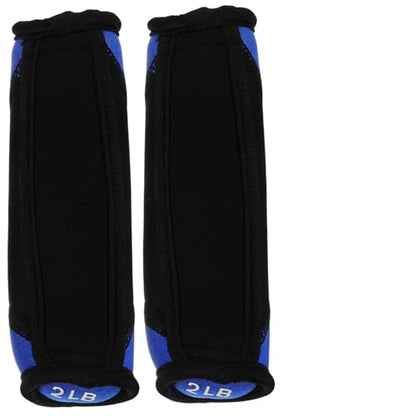 Ciieeo Soft Dumbbells Hand Weights 1 Pair 2lb Each Blue Portable Iron Sand Exercising Sandbag for Running Fitness Home Training