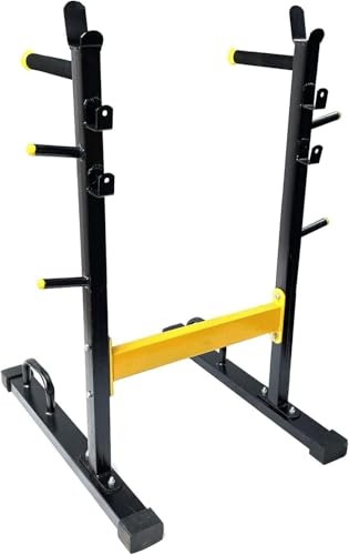4 in 1 Dip Stand, bar Holder, Plate Holder and Push up Stand for Home Gym