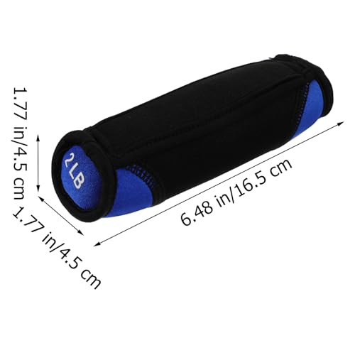 Ciieeo Soft Dumbbells Hand Weights 1 Pair 2lb Each Blue Portable Iron Sand Exercising Sandbag for Running Fitness Home Training
