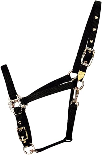 Hamilton Deluxe Horse Halter, 1" Triple Ply Nylon, Adjustable Chin Strap, Easy On/Off Throat Snap, Average Horse, Arabian, or Yearling Draft, 800-1100 lbs, Black - color: Black, size: Average, 800-1100lbs