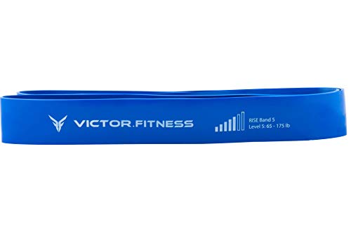 Rise Bands Heavy-Duty Exercise Resistance Band for Physical Therapy, Fitness, Muscle Development, Rehab, Mobility, Stretching, and More - color: Blue Level 5 (65-175lbs)