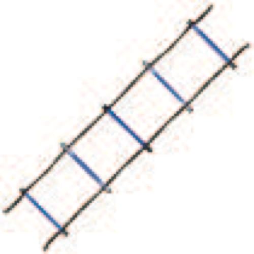 Champion Sports Sectioned Agility Ladder Set, Red/Yellow/Blue/Green, 6.5" x 16" Wide