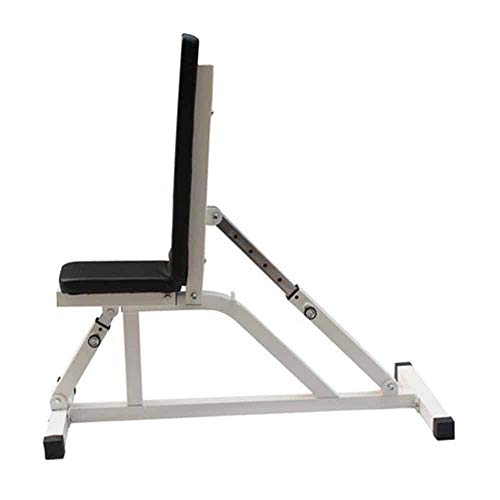 Dumbbell bench- Preacher Curl Weight Bench Seated Arm Isolated Barbell Biceps Station