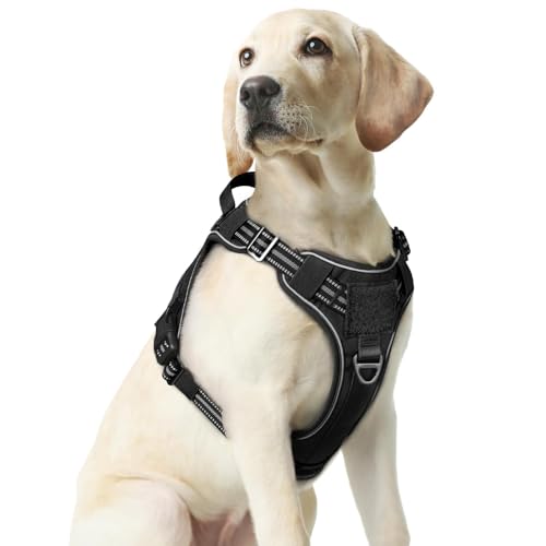 rabbitgoo Dog Harness Medium Sized No Pull, Tactical Service Pet Vest with Molle and Control Handle, Adjustable and Reflective Military Harness for Easy Walking and Training, Black, M