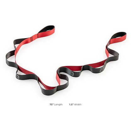 Sunny Health & Fitness Premium Yoga Stretch Strap with 8 Individual Grip Loops - 75" x 1.5" Durable Polyester Stretching Strap for Flexibility, Physical Therapy, Pilates, and Full Body Workouts
