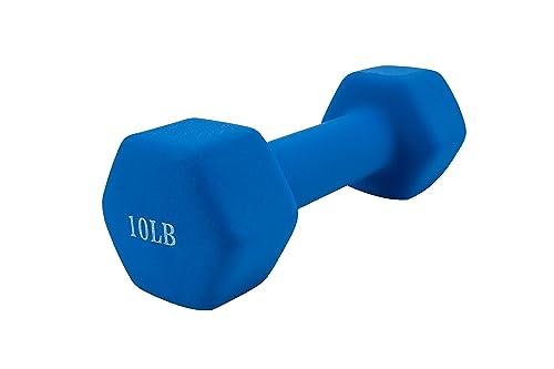 Weights Dumbbells set of 2 Fitness for Man Woman Home Gym Health Exercise 10LB Blue Rubber Hex Dumb Bells