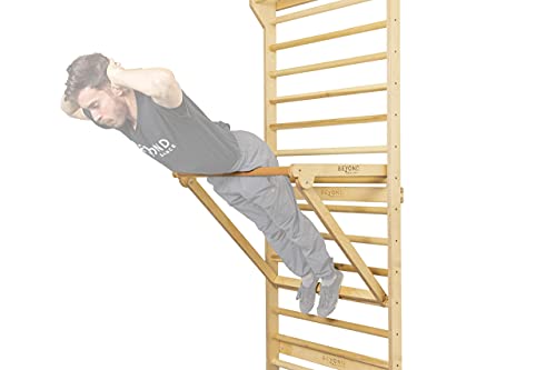 Beyond Balance Personal Training Station: Swedish Ladder Stall Bars with Adjustable Pull-Up Dip Bar Attachment