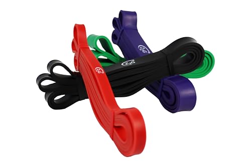 Z2G Exercise Power Band Set – 4 Heavy-Duty Resistance Bands (Light to X-Heavy) with Travel Bag – Strength & Mobility Training for Women, Men & Youth