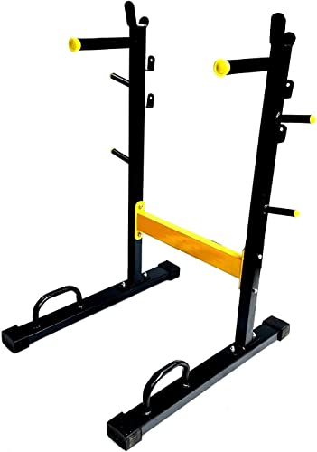 sainio 4 in 1 Dip Stand, bar Holder, Plate Holder and Push up Stand for Home Gym