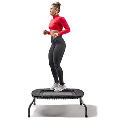 Sunny Health & Fitness Springless Mini Fitness Trampoline – Premium Adjustable Bungee-Style Indoor/Outdoor Exercise Rebounder for Quieter and Safer Workouts