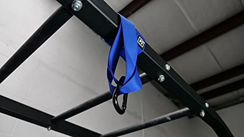 CRITICAL BENCH at Home Suspension Strap Workout DVD Full Body Workout Build Strength & Mobility from Head to Toe