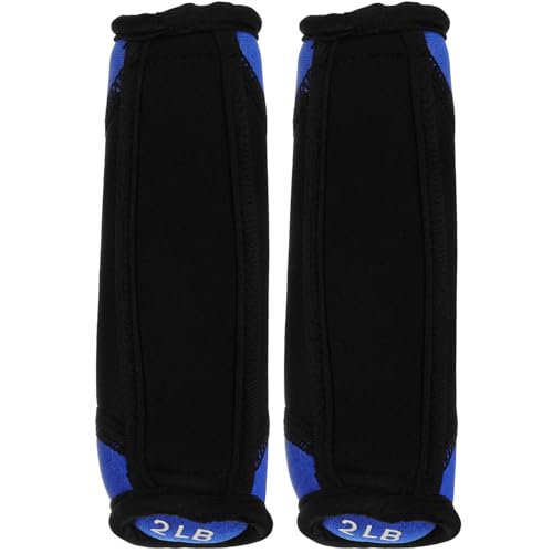 GLEAVI Soft Dumbbell Hand Weights 2lb Pair Blue Fitness Sandbag for Running Walking Exercise Home Strength Training Equipment