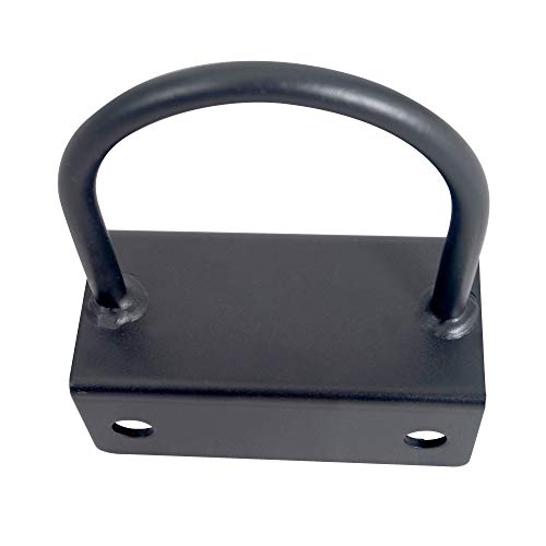 Sunny Health & Fitness Power Cage Squat Rack Upgrade Attachments, Dip Bar, Plate Bar Holder, Belt Squat, J Hook, Lat, Adapter, U Ring, Pull Up Bar, Landmine, Captain's Chair, Tricep Rope For Home Gym - style: U-Ring