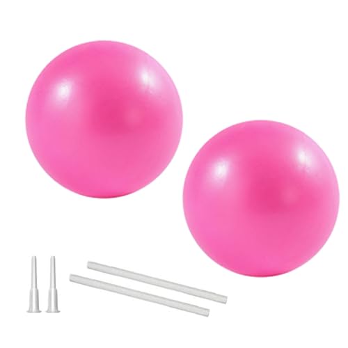 9 Inch Exercise Pilates Ball Mini Exercise Barre Ball for Yoga,Stability Exercise Training Gym Anti Burst and Slip Resistant Balls Physical Therapy Improves Balance, Core Strength - color: 2Pack-Pink