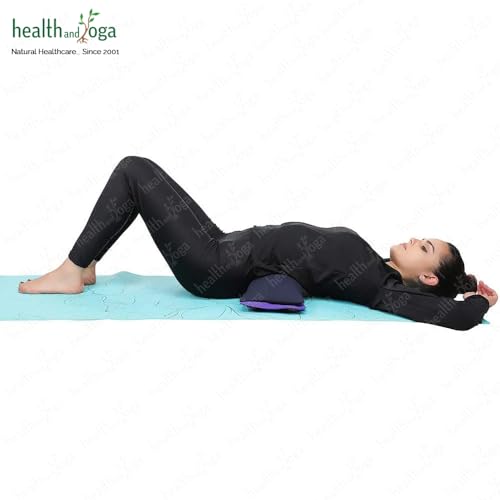 HealthAndYoga(TM) Yoga Sand Bags - Double Bag with Inner Waterproof Bag - Prop for Adding Weight and Support (Purple)