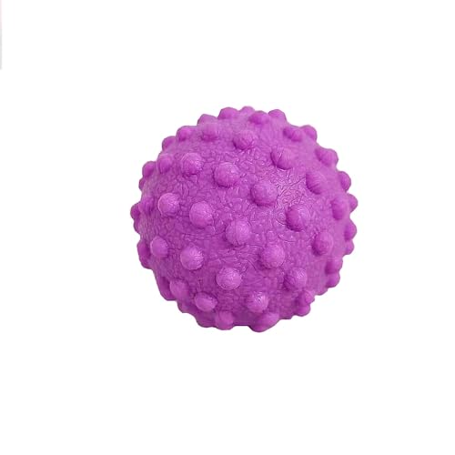 NGT new guide steps Fascia Ball, TPR Massage Ball Suitable for Relaxing Muscles, Restoring Fascia, and Improving Body Condition for All Parts of the Body. (Purple)