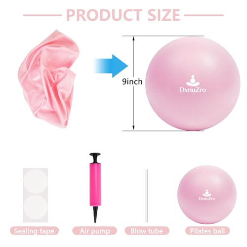 9 Inch Pink Pilates Ball, Exercise Stability Yoga Ball Small Exercise Ball with Air Pump for Core Workout, Balance Training, Home Gym, Office, Physical Therapy