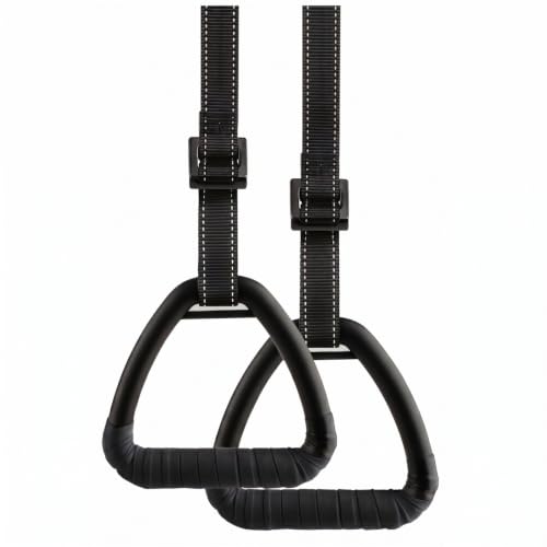 Gymnastic Rings, Gymnastic Rings Equipment, Pull-up Gymnastic Rings, Home Gymnastic Rings no-Punch bar Lanyard for Training Workouts - color: Black