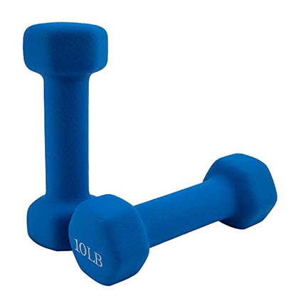 Weights Dumbbells set of 2 Fitness for Man Woman Home Gym Health Exercise 10LB Blue Rubber Hex Dumb Bells