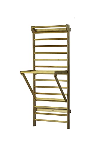 Beyond Balance Personal Training Station: Swedish Ladder Stall Bars with Adjustable Pull-Up Dip Bar Attachment
