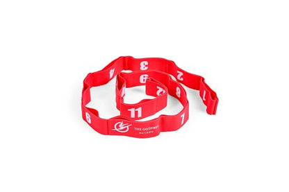 Multi Loop Stretch Band, Dance, Gymnastics, Cheerleading, 13 Loops, The Godfrey Method