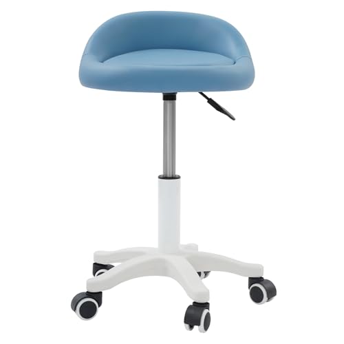 Beauty Salon Chair, Height Adjustable Rolling Swivel Salon Stool, Ergonomic Swivel Seat with Low Backrest and Wheels, Office Drafting Chair for Hair Salon, Spa Center, Embroidery Studio (Blue)