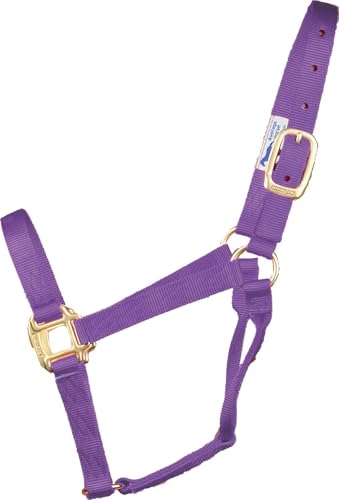 Hamilton Quality Horse Halter, 800-1100 lbs, Lavender - color: Lavender, size: Average, 800-1100lbs