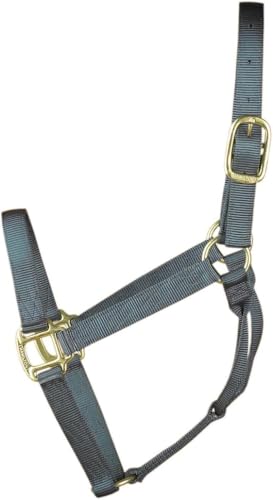 Hamilton Quality Horse Halter, 800-1100 lbs, Graphite - color: Graphite, size: Average, 800-1100lbs