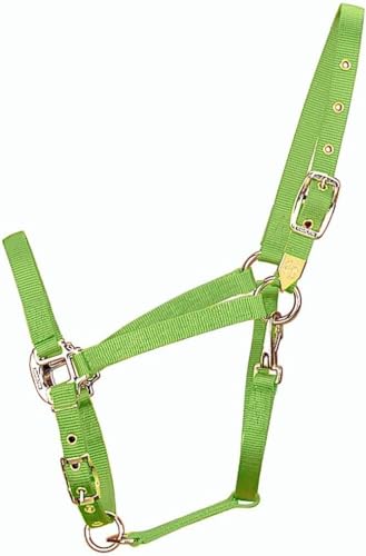 Hamilton Deluxe Horse Halter, 1" Triple Ply Nylon, Adjustable Chin Strap, Easy On/Off Throat Snap, Average Horse, Arabian, or Yearling Draft, 800-1100 lbs, Lime Green - color: Lime, size: Average, 800-1100lbs