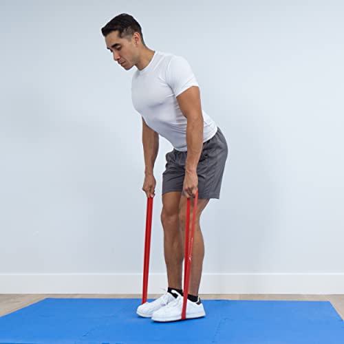 ProsourceFit Xfit Power Resistance Bands, Heavy Duty 41” Long for Cross-Training, Assisted Pull-Ups, Powerlifting, Mobility, Full Body Workouts and Stretching - size: 40 to 80lbs