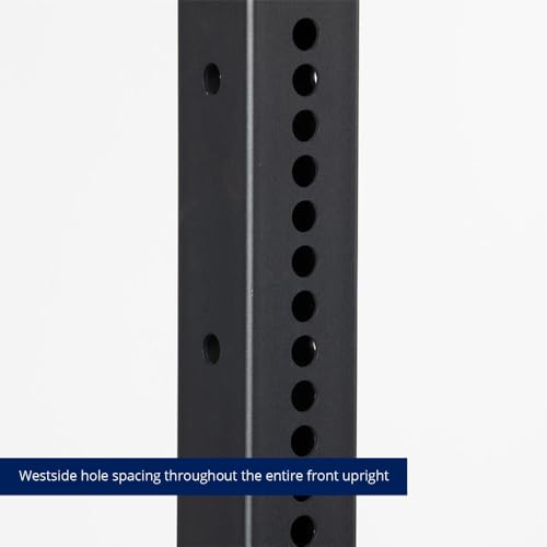 Titan Fitness X-3 Series 91in Wall Mounted Folding Power Rack, 21in Depth Space Savings Rack, Folds up to 8" from the Wall