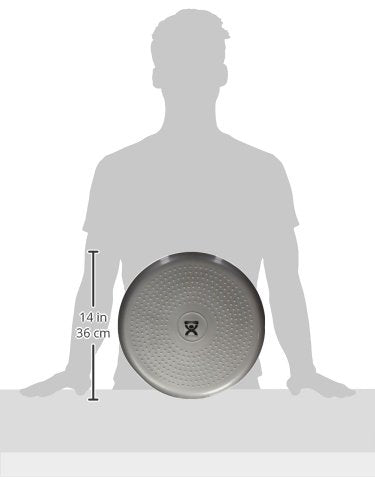 CanDo Inflatable Balance Disc for Balance Training, Proprioception, Strengthening Lower Extremities, Posture, Back Pain, Stress Relief, Restlessness and Anxiety. Silver, 14” Diameter (Pack of 5) - color: Silver, size: 13.8" diameter (Pack of 5)