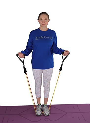 BodyForge Resistance Bands, Exercise Bands, Resistance Bands for Working Out, Work Out Bands with Handles for Men and Women Fitness, Strength Training Home Gym Equipment - size: 1 Pack