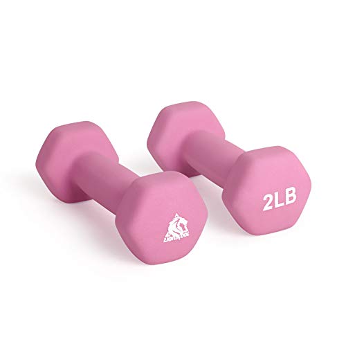LIONSCOOL Set of 2 Neoprene Coated Dumbbell Hand Weights, Anti-Slip and Anti-Roll Hex Dumbbells in Pair for Strength Training, Resistance Training - style: Hot Pink 2lb Pair