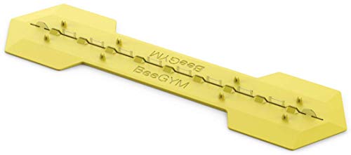 Bee Gym/Slim Gym Combo (2)