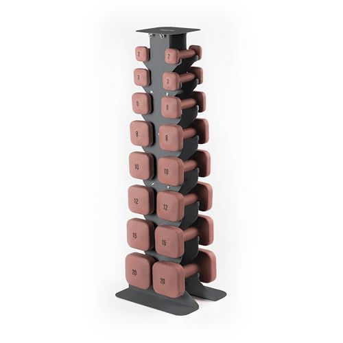 WeGym SafeGrip Square Dumbbells with Anti Slip Handles, Aesthetic Free Weights for Home Workouts, Stable Design Prevents Rolling during Floor Exercises - Set - color: Rose-Dark Rack, style: Full Set