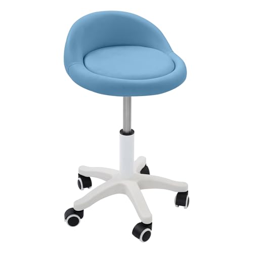 Beauty Salon Chair, Height Adjustable Rolling Swivel Salon Stool, Ergonomic Swivel Seat with Low Backrest and Wheels, Office Drafting Chair for Hair Salon, Spa Center, Embroidery Studio (Blue)