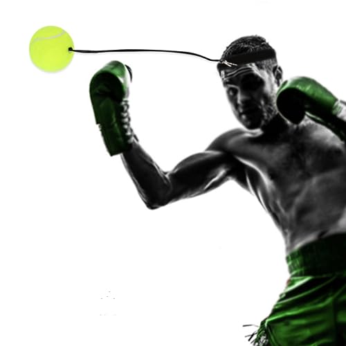 Zerone Boxing Reflex Ball, Boxing Ball with Headband Punching Balls Equipment for Focus, Speed, Punching Speed, Fight Hand Eye Coordination Training