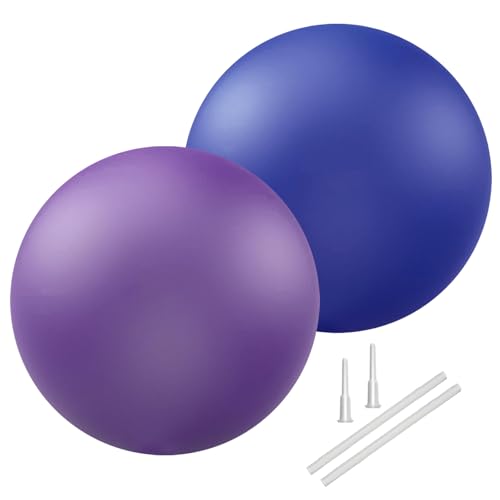 PL-0003 Soft Exercise Ball, Anti-Burst Yoga Ball Chair Supports 2200lbs PL-0003 - color: Purple&Blue