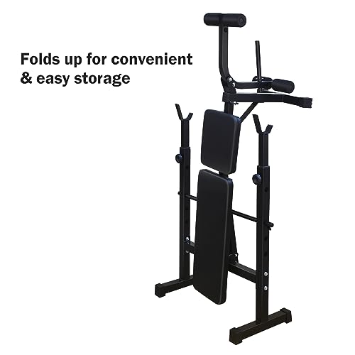 Adjustable Weight Bench, Bench Press Rack, Leg Exercises Preacher Curl Rack for Home Gym Full Body Workout, Black