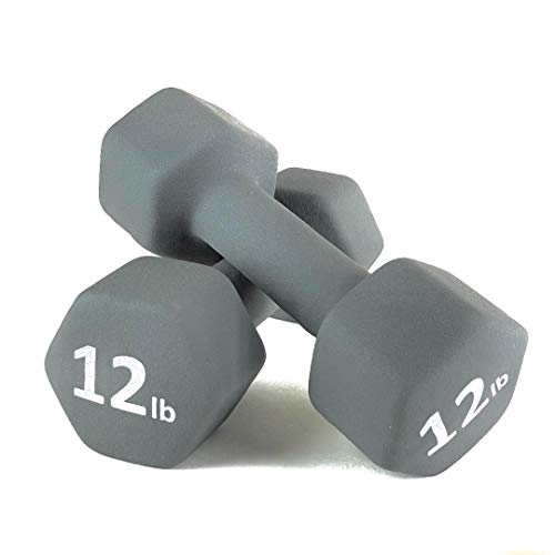 Neoprene Coated Dumbbell Hand Weight Set - style: 12-Pound, Set of 2