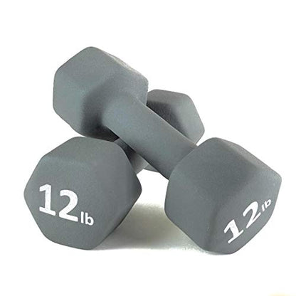 Neoprene Coated Dumbbell Hand Weight Set - style: 12-Pound, Set of 2