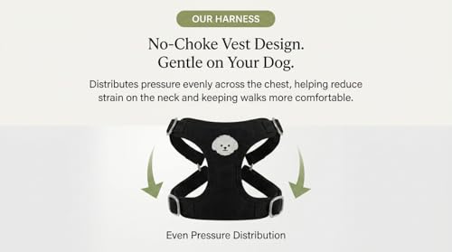 AetruffyPet 100% Cotton Dog Harness and Leash Set – Soft Breathable Vest for Small Dogs, Adjustable No-Choke Design, Lightweight Walking Set (XS/S/M) (Pink, XS) - color: Pink, size: XS